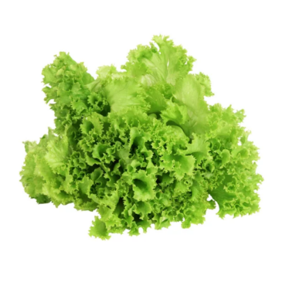 Lechuga Crespa Verde x 130 g