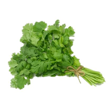 Cilantro x 200 g